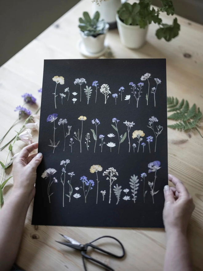 pressed wildflower framed print