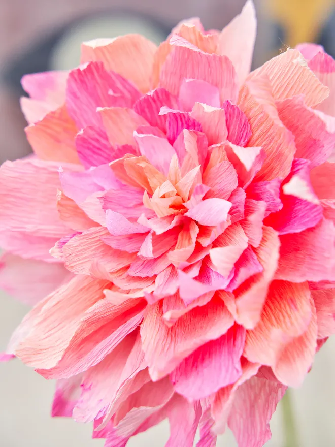 Pink crepe paper flower