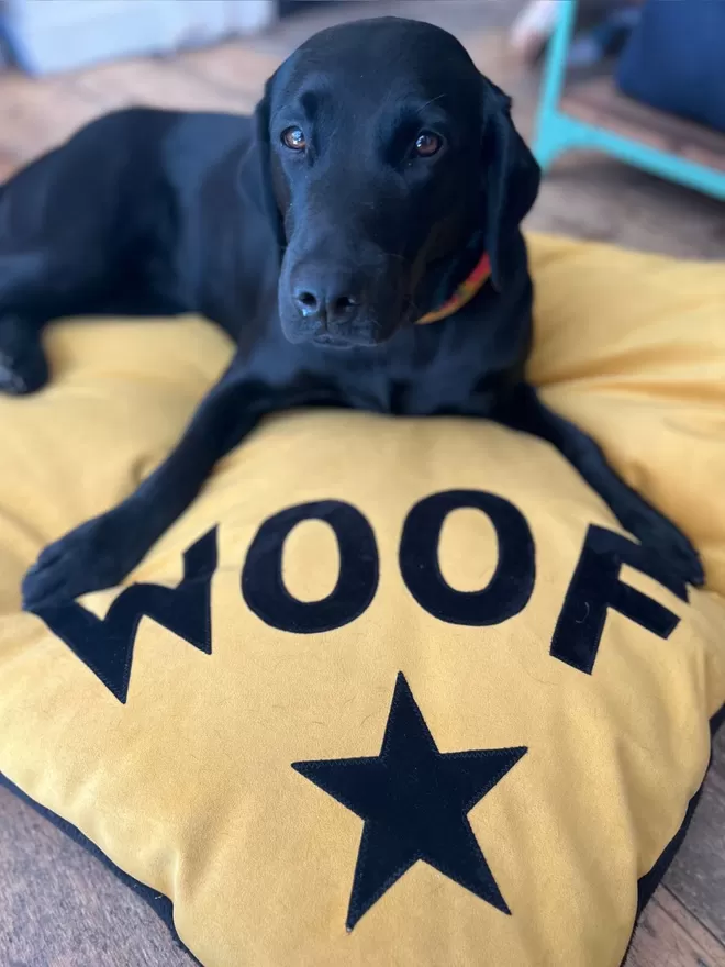 WOOF Star Dog Bed In Mustard Yellow Velvet