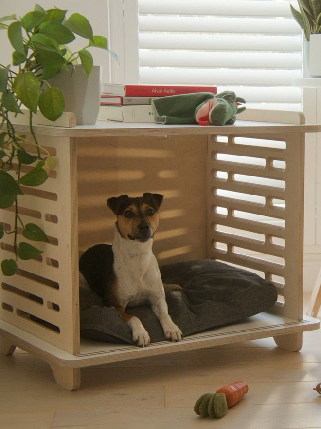 parsons terrier dog in birch dog crate