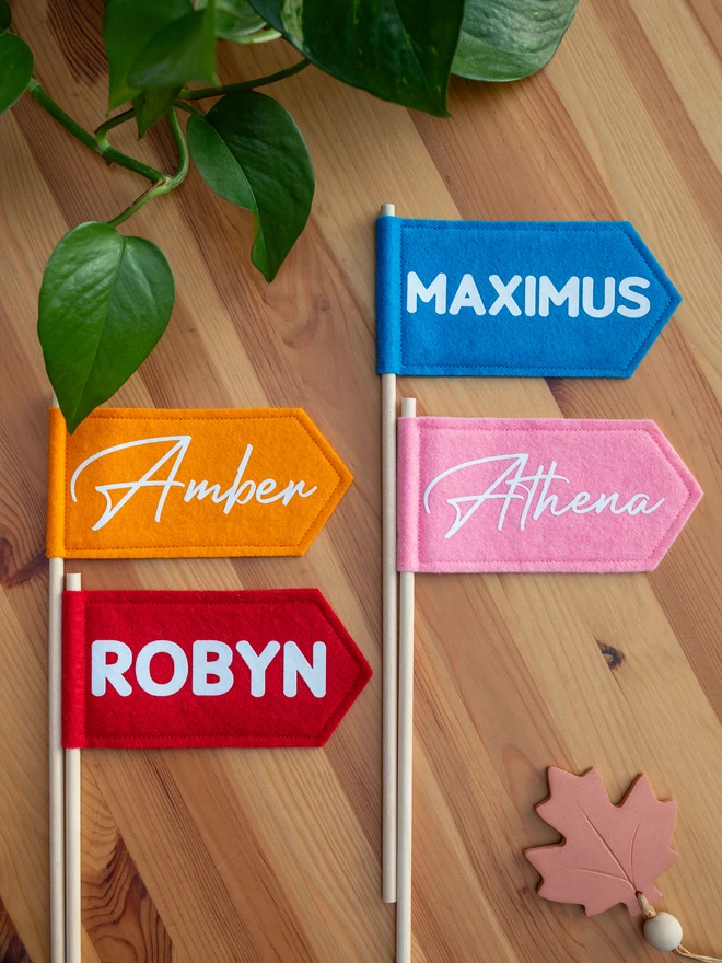personalised hand held flags in red, orange, pink and blue felt with white lettering
