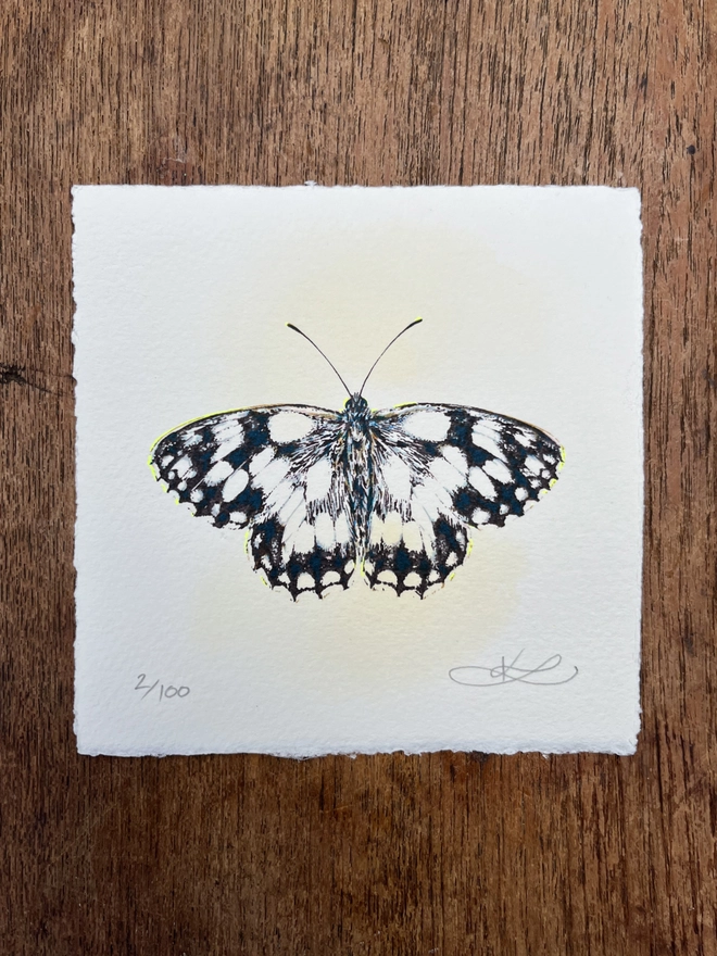 Marbled White Butterfly Screenprint
