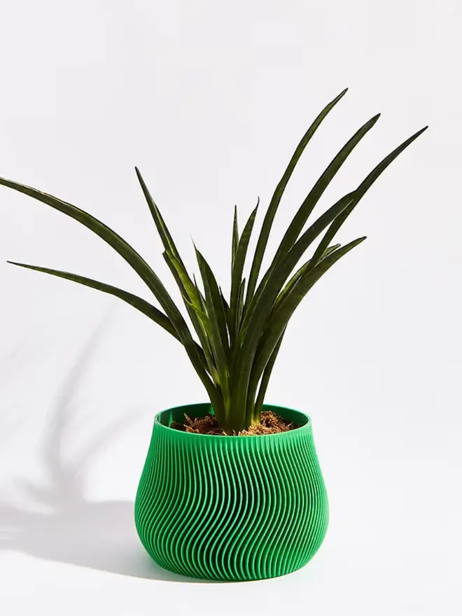 Sustainable 3D Printed Bamboo Green Plant Pot, groovy design against a white background. 