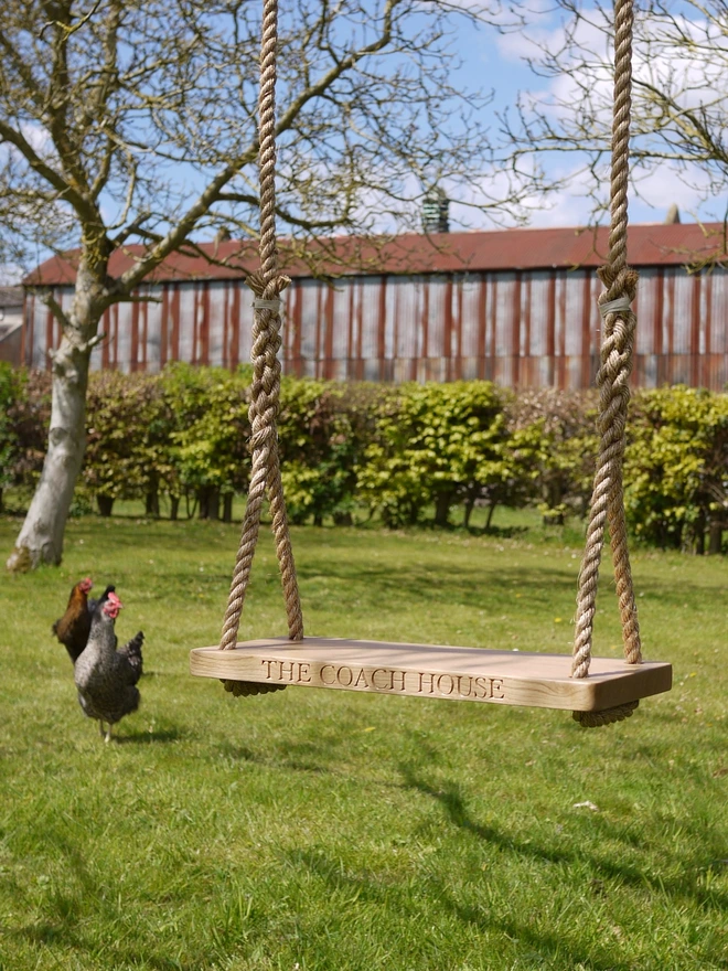 The Coach House Swing with Chicks in the background
