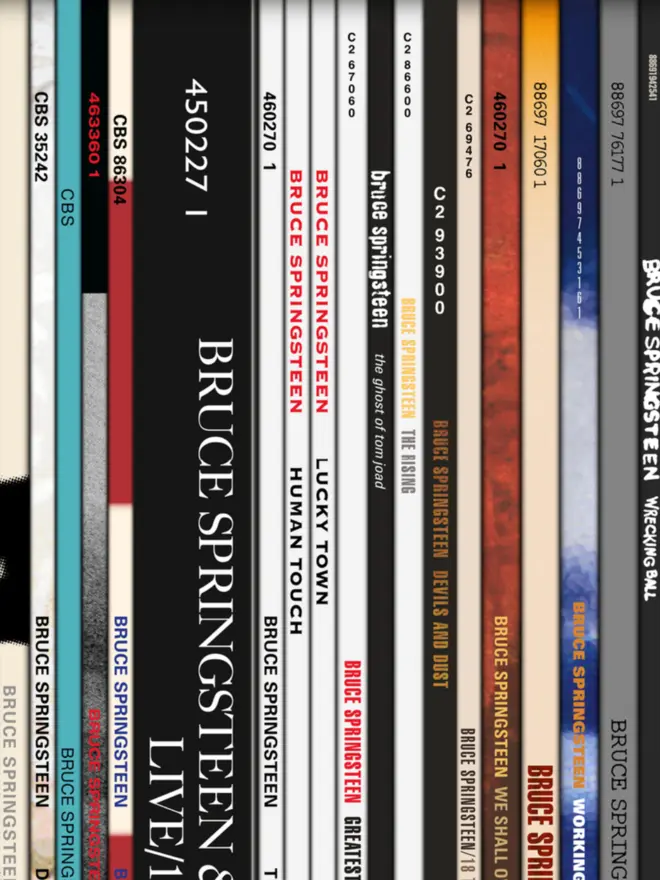 large springsteen vinyl artwork