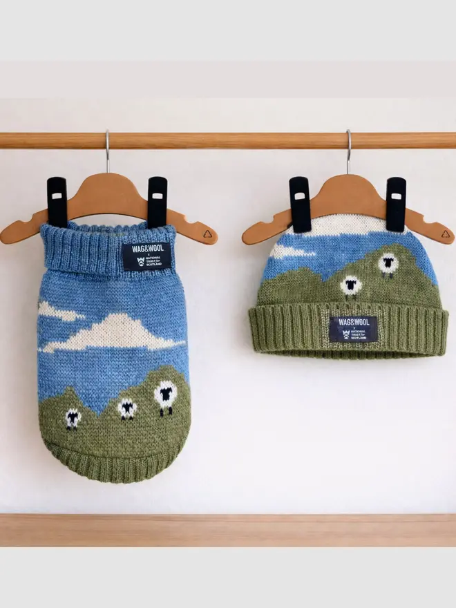 dog jumper and matching hat 