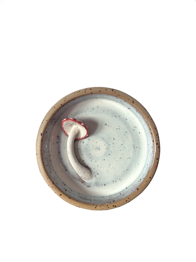 Mushroom Trinket Dish 