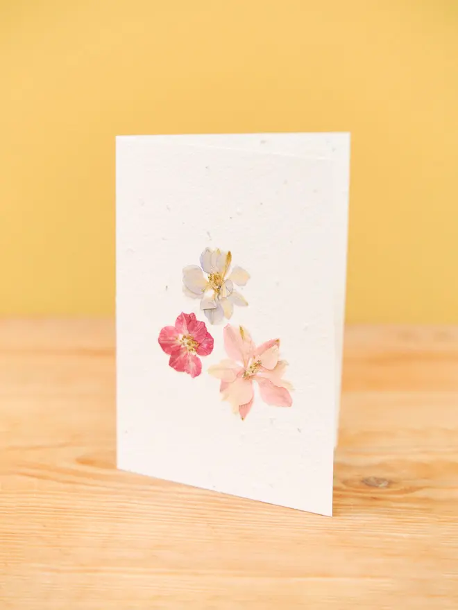 Pressed Flower Plantable Card