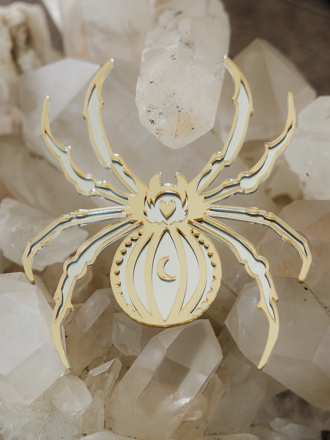 spider art