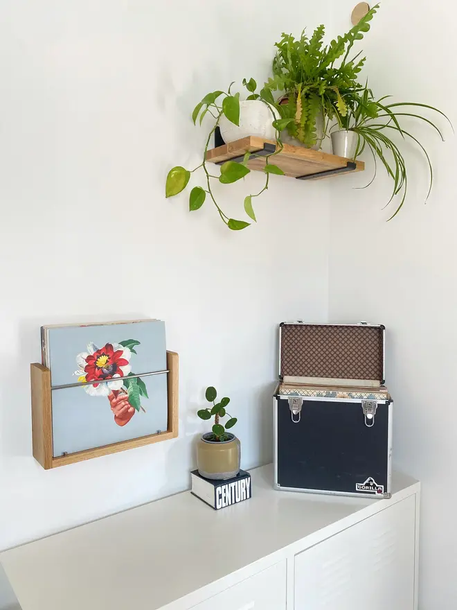 The Compound Vinyl LP Shelf - Oak