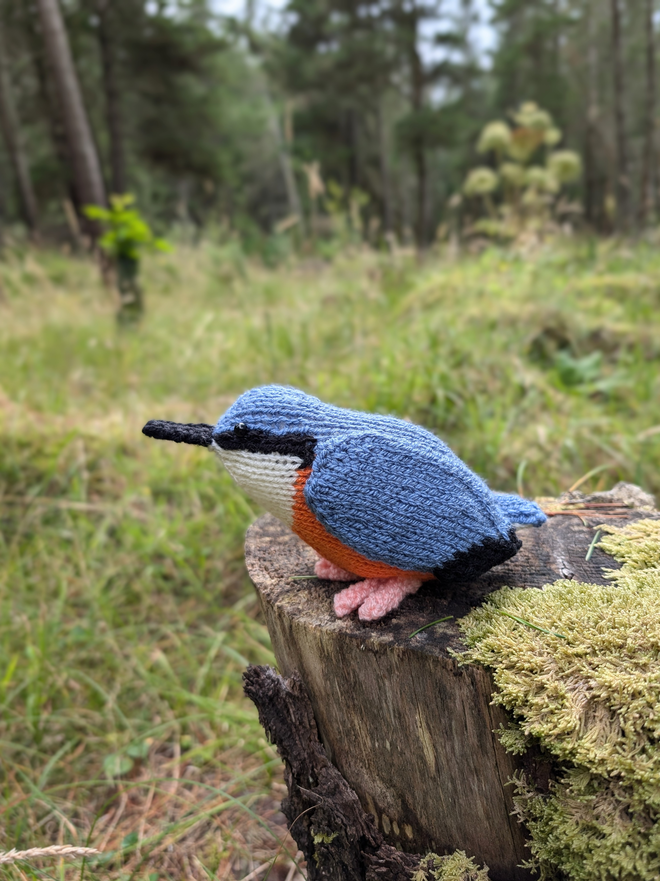 knitted nuthatch bird sitting on a tree stump in a forest