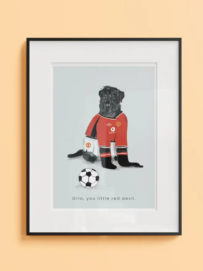 personalised pet football shirt portrait