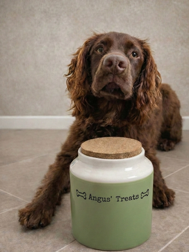 Handmade dog treat jar in moss
