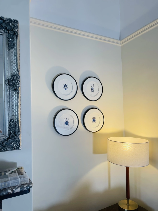 Example of four bugs in black frames hanging on a wall.