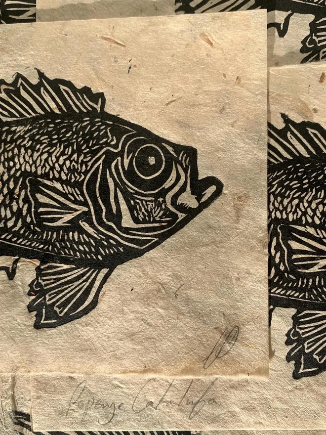 Lino Print Popeye Catalufa Fish On Handmade Paper