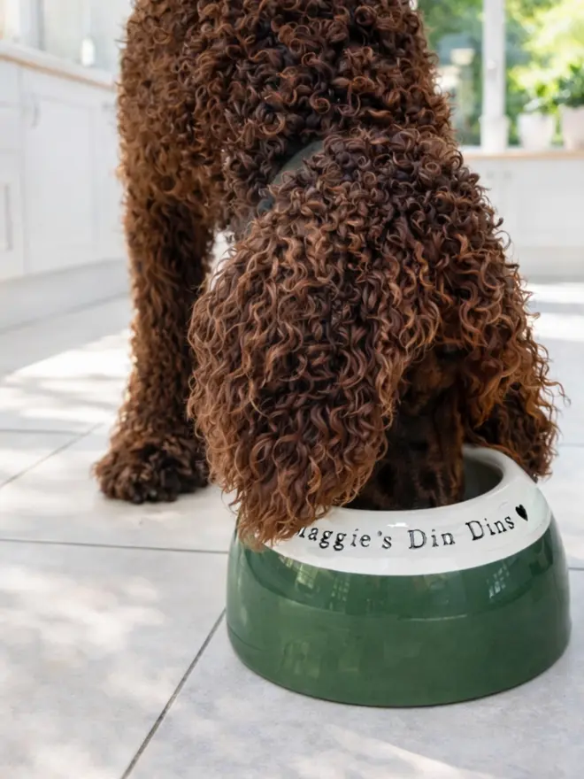 Setter_Basset bowl Alpine Forest