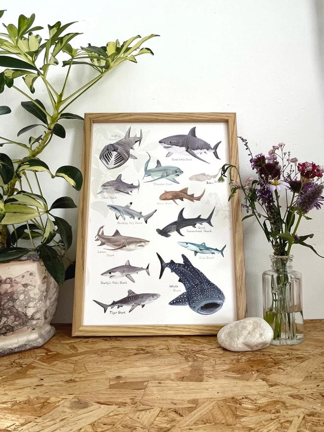 A print featuring a selection of illustrated sharks in a frame next to a plant and some flowers