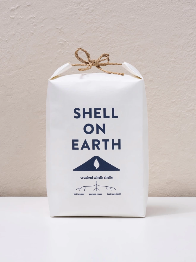 Shell on Earth Mini Bag