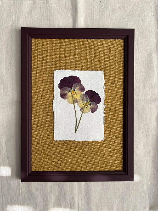two pressed pansy flowers mounted on paper and a fabric mount in a hand painted wooden frame
