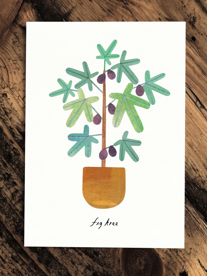 Fig Tree Greeting Card with House Plant Care Tips by Lianne Harrison of Paperwhale Cards