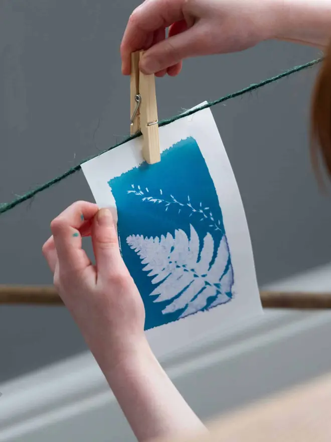 A6 Sunlight Cyanotype Kit To Create Prints At Home 