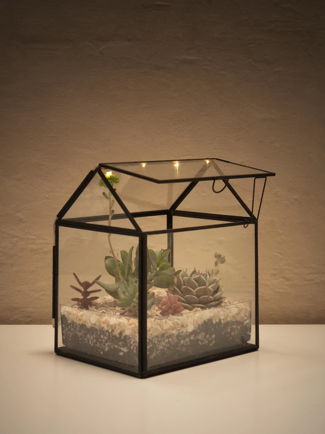 Mini Greenhouse Terrarium Kit