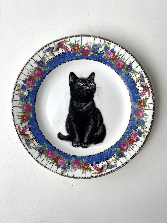 a vintage plate with an ornate border, in the centre of the plate is a vintage style black and white illustration of a black witch's cat