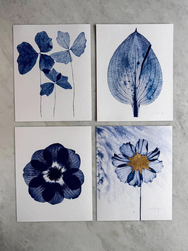Blue and white set of four Botanical X-ray print from an original Cyanotype 