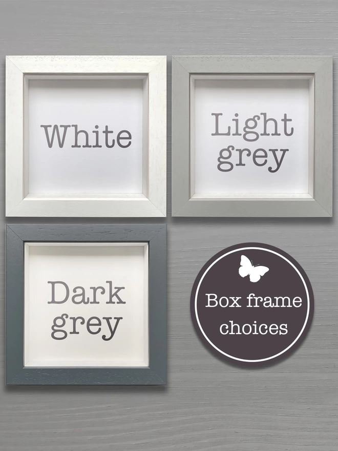 box frame colour options, white, light grey, and dark grey for butterflygram
