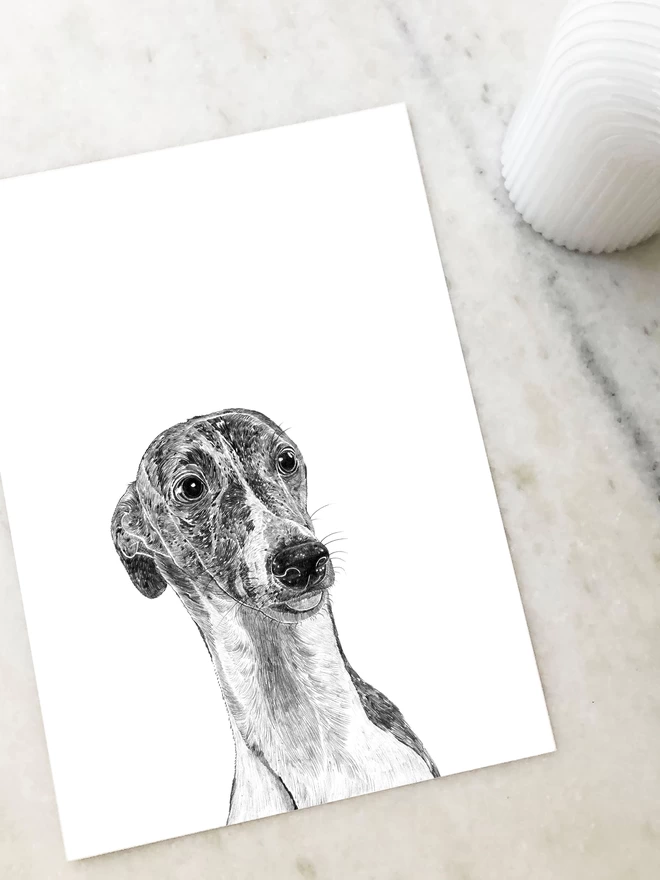 Art print of a hand drawn portrait of a whippet laying on a table