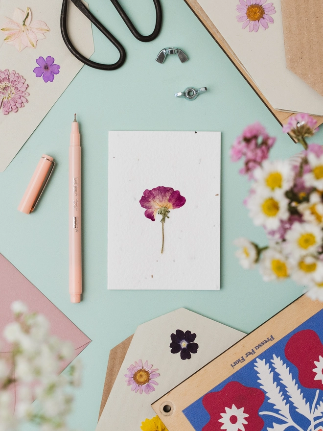 Pressed Flower Notecard, Dog Rose