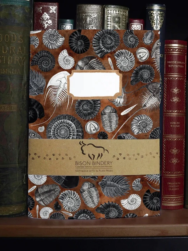 Ammonoidea Fossil Print Notebook
