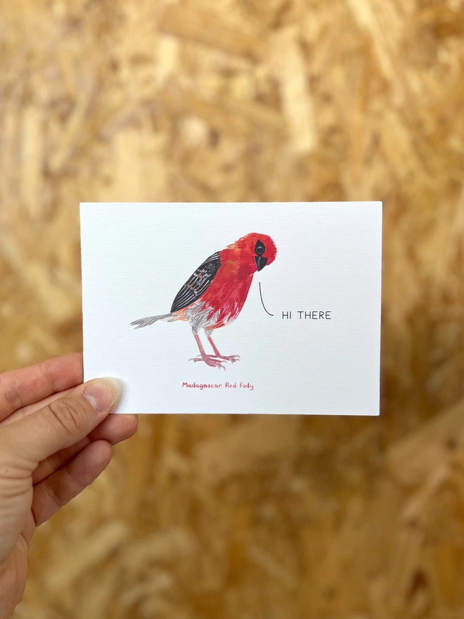a greetings card featuring an illustration of a red fody with the text hi there”