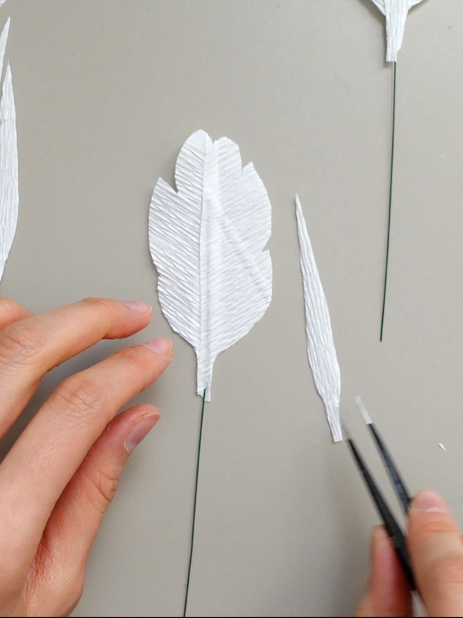 Crepe Paper Parrot Tulip DIY Kit