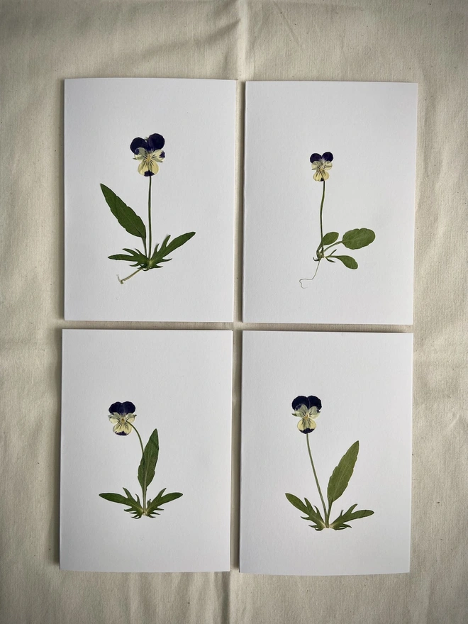 Four white greeting cards with pressed pansy flowers on them 