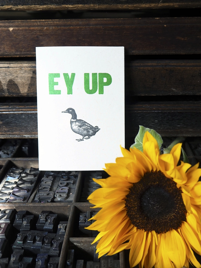 Ey Up Duck - Letterpress Greetings Card