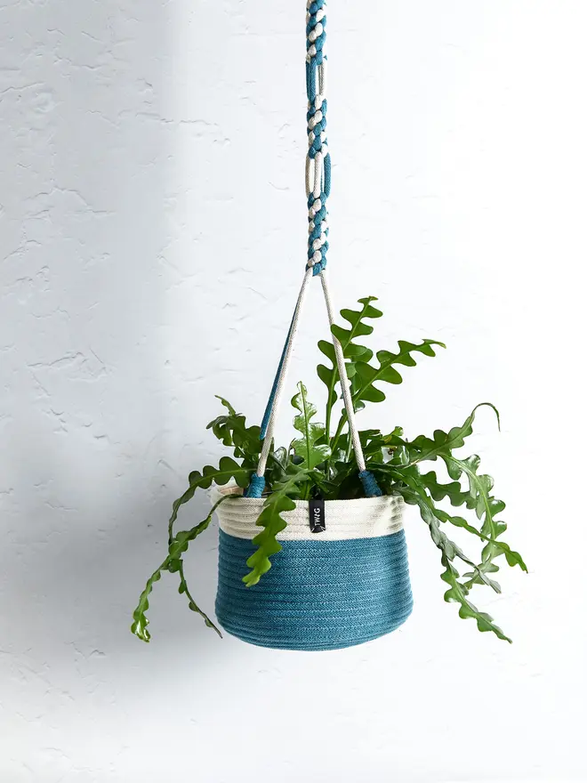 Hanging Cotton Plant Pot