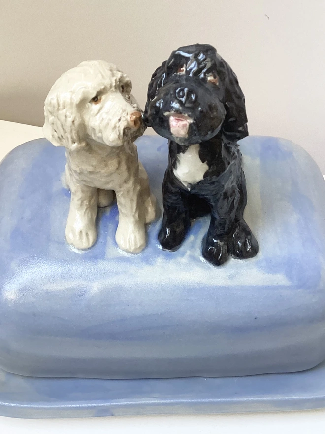 One black and one white dog sitting on a blue butter dish.