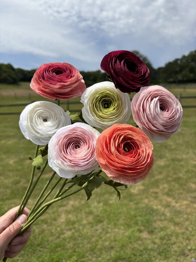 ranunculus bunch of paper flowers outside