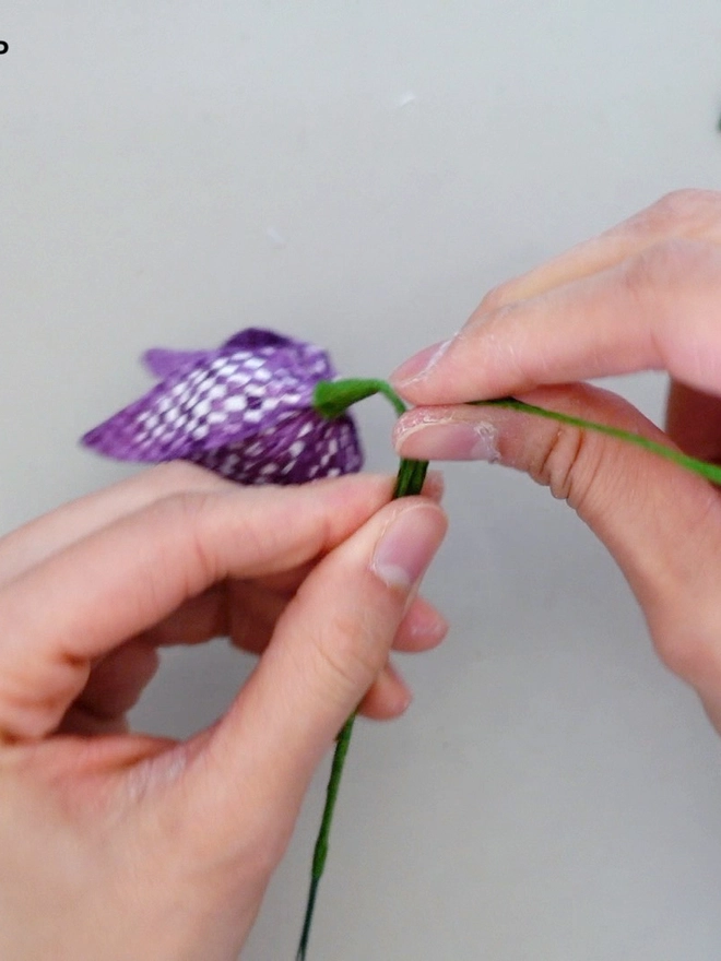 Crepe Paper Snake's-Head Fritillary DIY Kit