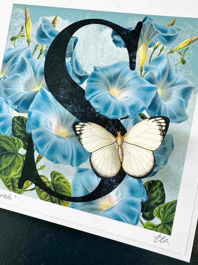 A close up photo of hand made Butterflygram birthday card showing a black letter S with a 3D white, paper cut butterfly sitting in the letter. The letter is set amongst the flower, Morning glory which represent one of the September birth flowers