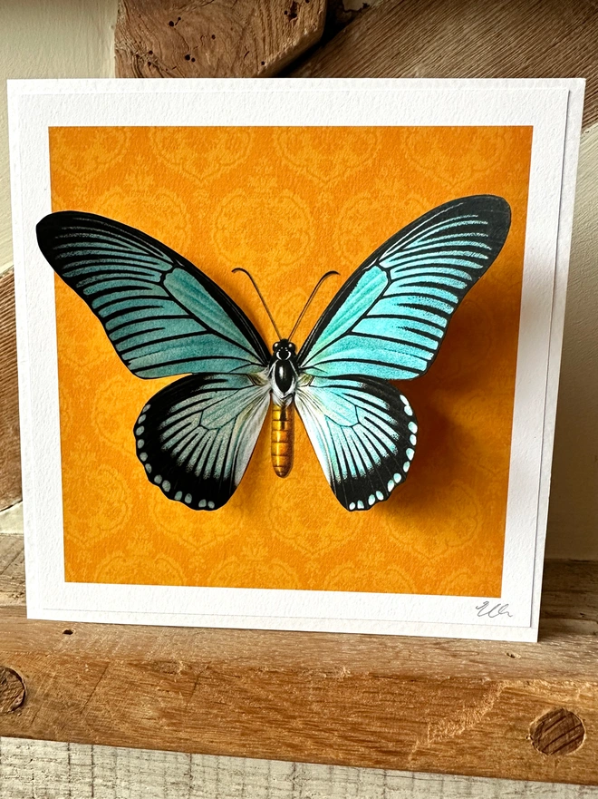 A bright, hand made card featuring a giant, blue, swallowtail butterfly on a vibrant, orange, background. The butterflies wings measure 12cm in width and have been hand cut. This makes the butterfly wings 3D when displayed and pulled forward. The card is perfect for nature lovers.