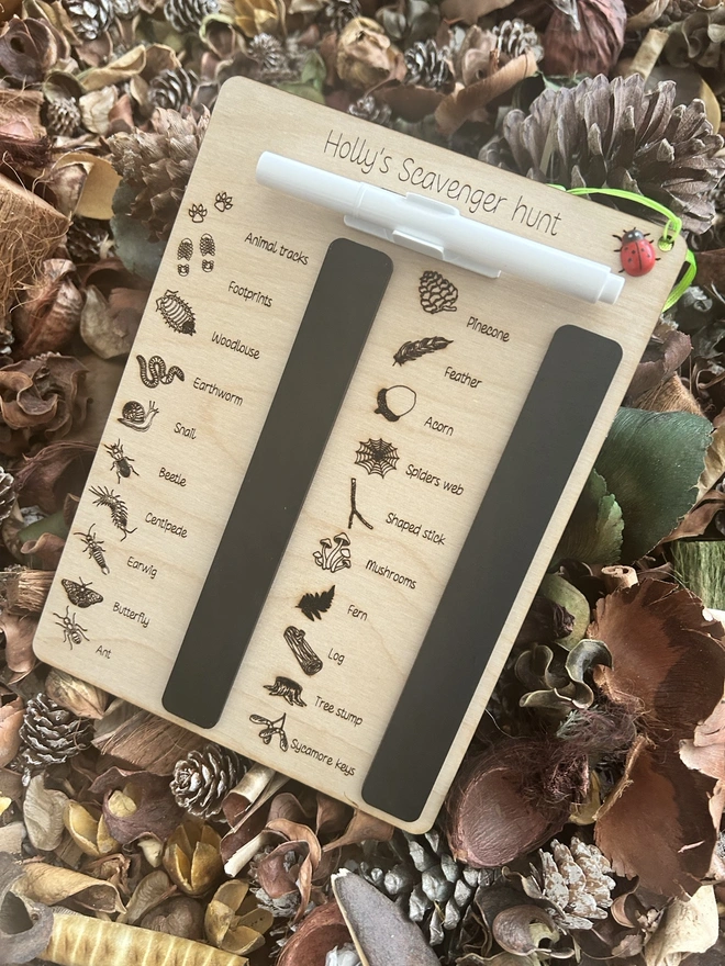 A personalised wooden scavenger hunt board titled “Holly’s Scavenger Hunt,” displayed on a bed of dried leaves and pinecones. The board features engraved illustrations and labels for natural items and minibeasts to find, including pinecone, feather, acorn, spider’s web, shaped stick, mushrooms, fern, log, tree stump, sycamore keys, animal tracks, footprints, woodlouse, earthworm, snail, beetle, centipede, earwig, butterfly, and ant. Two black wipe‑clean sections sit on the board, with a white marker attached by a green cord decorated with a small ladybird bead.