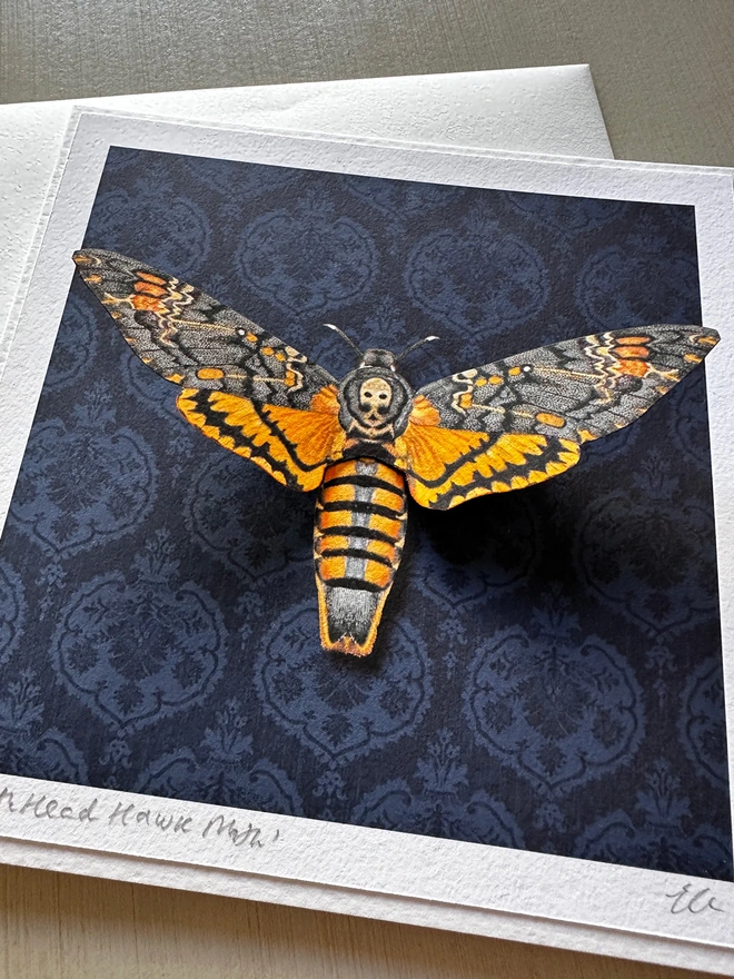 A close up photo of three dimensional Death's Head Hawk moth showing the detail, vibrant colour and high quality materials of this hand made card.