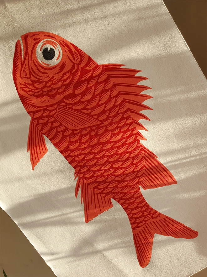 Soldierfish linocut print on paper