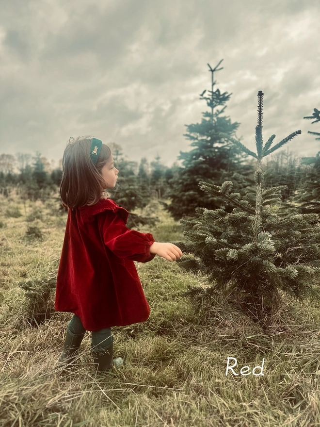 kids velvet dress big frill collar red