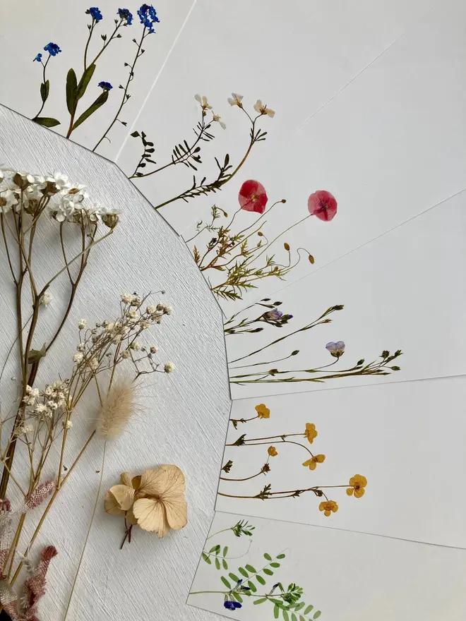 Pressed Wildflower Letter Writing Set, a pressed flower writing set sitting on a wooden surface. 
