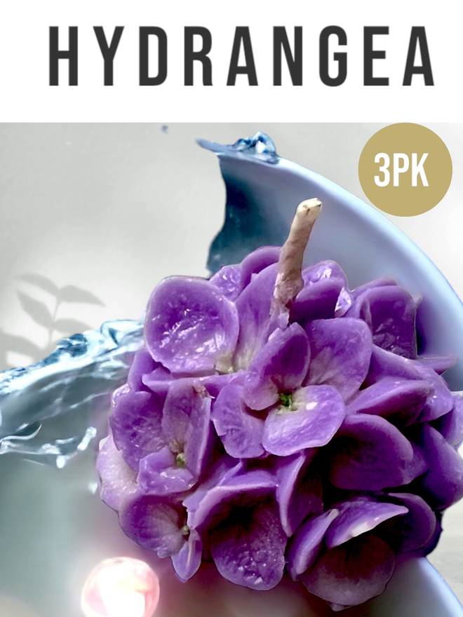 HYDRANGEA CANDLE - BOTANY COLLECTION
