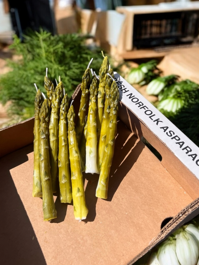 Asparagus Spear Dinner Candles 2pk