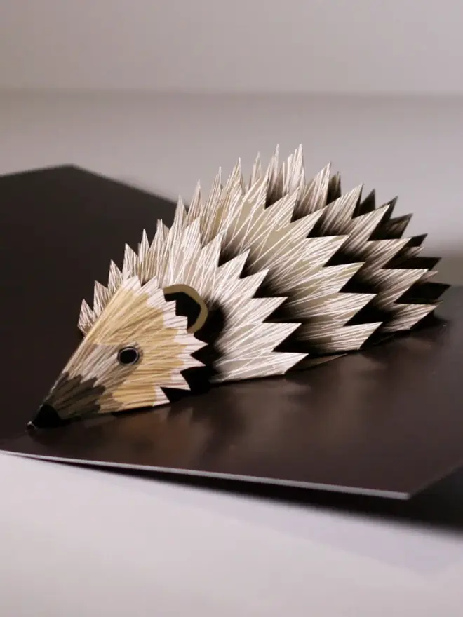 3d hedgehog pop up card
